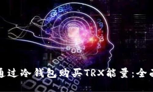如何通过冷钱包购买TRX能量：全面指南