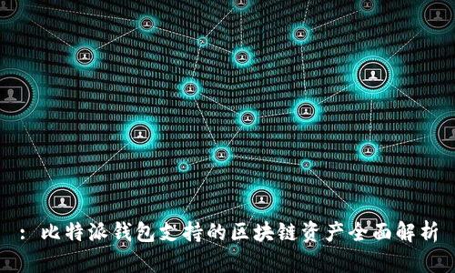: 比特派钱包支持的区块链资产全面解析