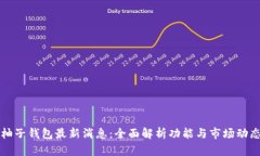 柚子钱包最新消息：全面