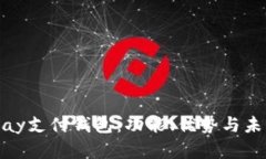 全面解析iPay支付钱包：功