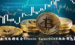 如何选择适合Bitcoin Cash（