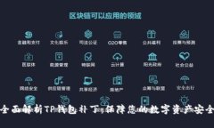 全面解析TP钱包补丁：保障