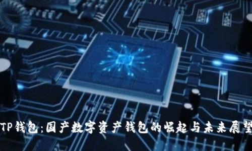 TP钱包：国产数字资产钱包的崛起与未来展望