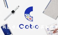 :如何在TP钱包中无矿工费