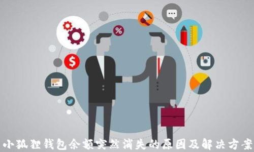 
小狐狸钱包余额突然消失的原因及解决方案